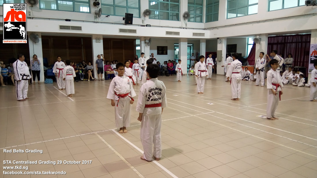Lee Yan Shyong Centralised Grading 29 Oct 2017 Black Belt Colour Belt Singapore Taekwon-do Academy HQ Taekwondo STA International recognized