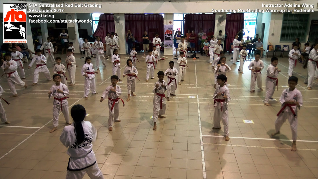 Adeline Wang Centralised Grading 29 Oct 2017 Black Belt Colour Belt Singapore Taekwon-do Academy HQ Taekwondo STA International recognized