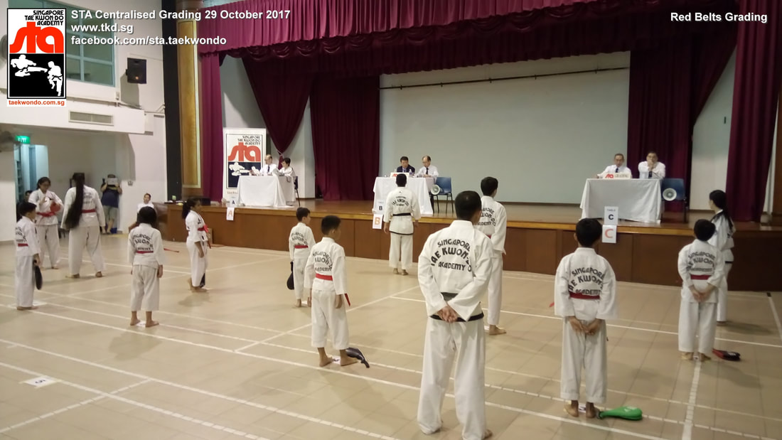 Brandon Tan Centralised Grading 29 Oct 2017 Black Belt Colour Belt Singapore Taekwon-do Academy HQ Taekwondo STA International recognized