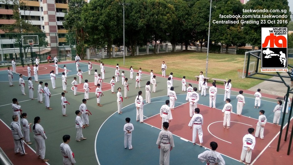 Largest Oldest Governing Organisation Singapore Taekwondo Academy STA Recognised Certificate Grading Black Belt Darren Huan