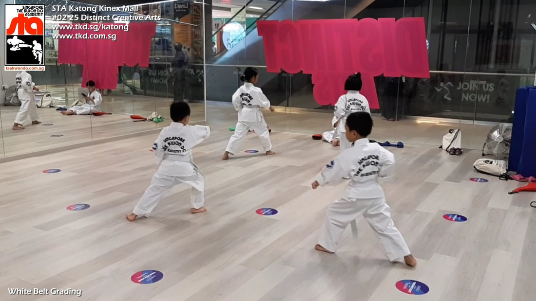 White Belt Grading Children Kids Teens Class Lesson Katong Kinex Paya Lebar PLQ Sims Haig Singapore Taekwondo Academy TKD STA