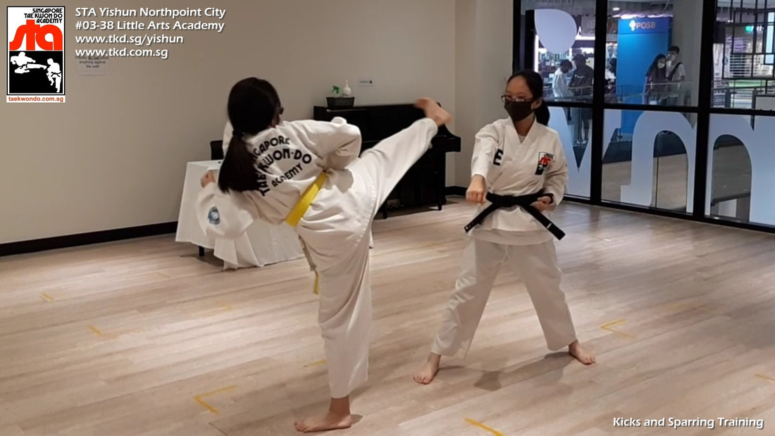 Kick Sparring Adults Teens Grading Yishun Northpoint City Sembawang Woodlands Khatib Canberra Singapore Taekwondo Academy TKD